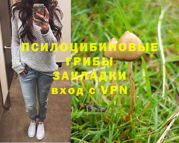 мдма Инсар