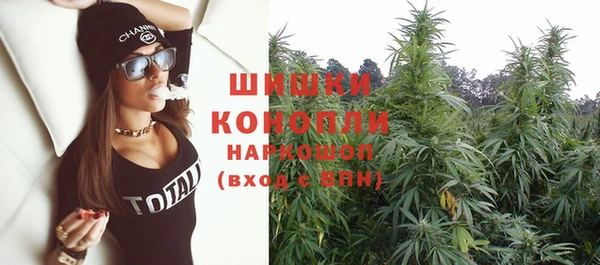 прущие крисы Инта
