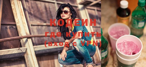 гашик Иннополис