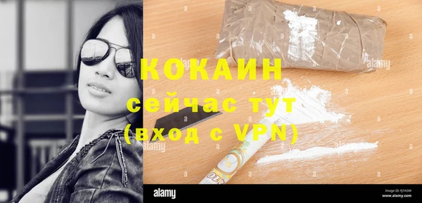 прущие крисы Инта