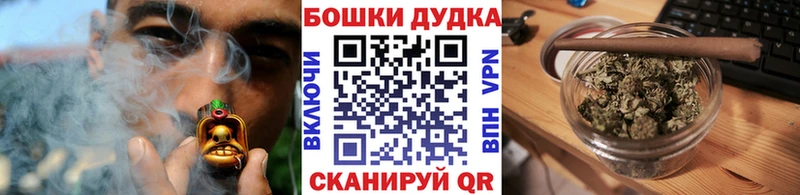 Бошки Шишки SATIVA & INDICA  продажа наркотиков  Славск 